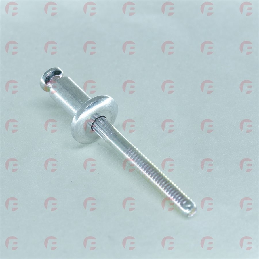 WINDOW REGULATOR RIVET